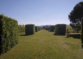 Foto 22 - Villa Via Chianciano
 
91, Cesena - foto 22