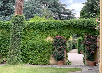 Foto 26 - Villa Via Chianciano
 
91, Cesena - foto 26