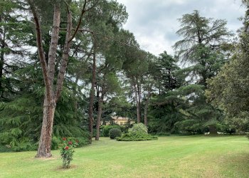 Foto 27 - Villa Via Chianciano
 
91, Cesena - foto 27