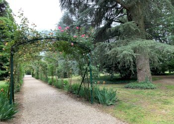 Foto 28 - Villa Via Chianciano
 
91, Cesena - foto 28