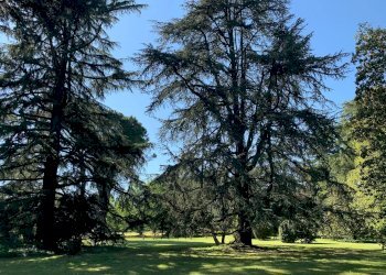 Foto 29 - Villa Via Chianciano
 
91, Cesena - foto 29