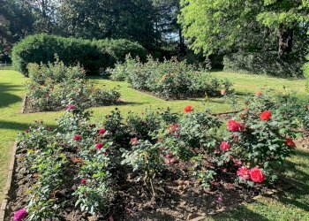 Foto 32 - Villa Via Chianciano
 
91, Cesena - foto 32