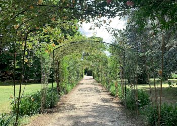 Foto 33 - Villa Via Chianciano
 
91, Cesena - foto 33