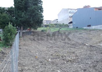 Giardino - Terreno edificabile San Cipirello - foto 8