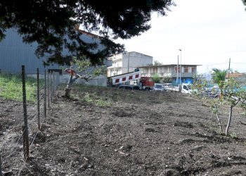 Giardino - Terreno edificabile San Cipirello - foto 13