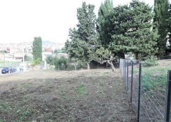 Giardino - Terreno edificabile San Cipirello - foto 14