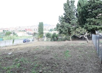 Giardino - Terreno edificabile San Cipirello - foto 15