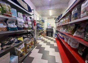 Dispensa di stoccaggio - Trilocale Corso Calatafimi
 
235-235/A, Palermo - foto 4