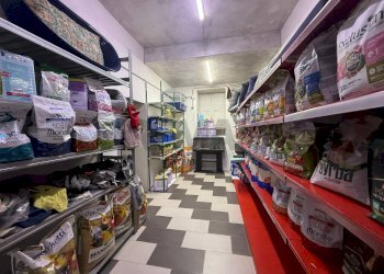 Dispensa di stoccaggio - Trilocale Corso Calatafimi
 
235-235/A, Palermo - foto 10