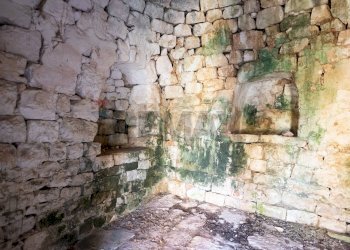 Giardino - Baita Contrada Cerrosa, Locorotondo - foto 7