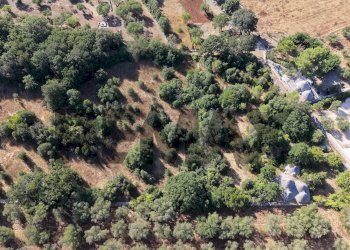 Posizione della mappa - Baita Contrada Cerrosa, Locorotondo - photo 13