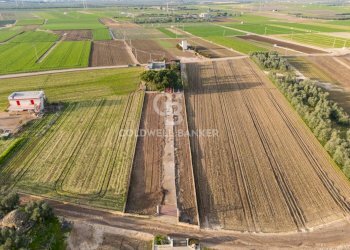 Foto 32 - Villa Contrada Tufarelle
 
Sn, Andria - photo 32