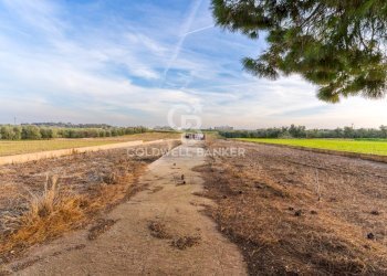 Foto 33 - Villa Contrada Tufarelle
 
Sn, Andria - photo 33