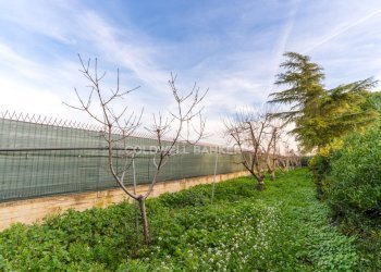 Foto 34 - Villa Contrada Tufarelle
 
Sn, Andria - photo 34