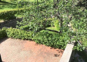 Foto 10 - Rustico località Gugena La Porta
 
10, San Godenzo - foto 10