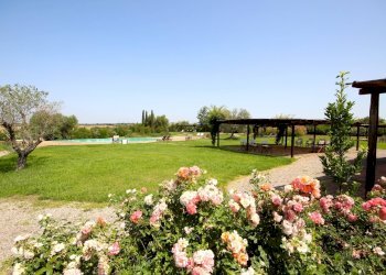 Foto 29 - Rustico Tenuta di Magliano Centro, Magliano in Toscana - foto 29