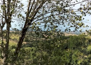 Terreno - Rustico via Guaina, 6, Santa Maria Nuova - foto 39