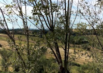 Terreno - Rustico via Guaina, 6, Santa Maria Nuova - foto 40