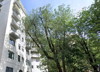 Foto 13 - Bilocale Via Del Vecchio Politecnico
 
5, Milano - foto 13