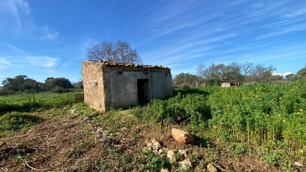 Terreno - Magazzino SS113, Cinisi - foto 1