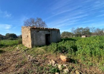 Terreno - Magazzino SS113, Cinisi - foto 1