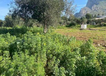 Terreno - Magazzino SS113, Cinisi - foto 3