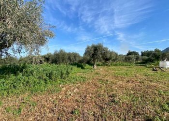 Terreno - Magazzino SS113, Cinisi - foto 4