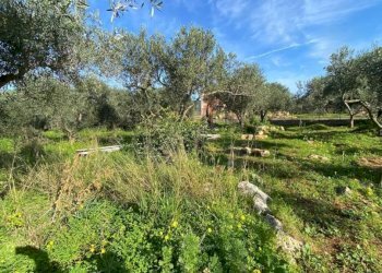 Terreno - Magazzino SS113, Cinisi - foto 5