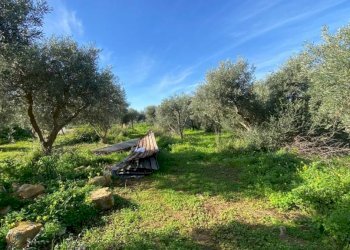 Terreno - Magazzino SS113, Cinisi - foto 8