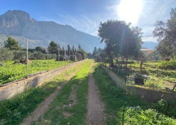 Terreno - Magazzino SS113, Cinisi - foto 9