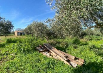 Terreno - Magazzino SS113, Cinisi - foto 10