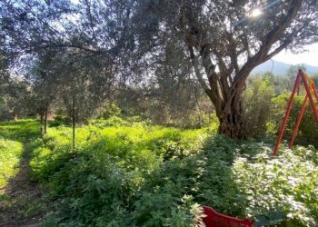 Terreno - Magazzino via Enrico Berlinguer, Carini - foto 5