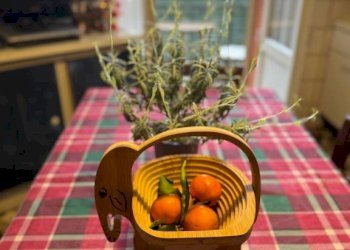 Altro - Bilocale via Claudio Treves, 21, Bologna (zona Costa Saragozza) - foto 19