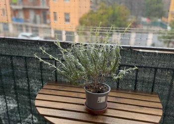 Terrazzo - Bilocale via Claudio Treves, 21, Bologna (zona Costa Saragozza) - foto 22