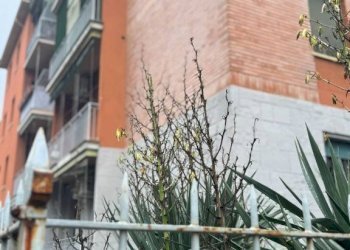 Terrazzo - Bilocale via Claudio Treves, 21, Bologna (zona Costa Saragozza) - foto 6