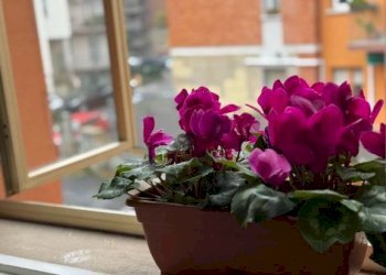 Balcone - Bilocale via Claudio Treves, 21, Bologna (zona Costa Saragozza) - foto 9