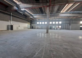 Magazzino - Capannone viale Alcide De Gasperi, Rho - foto 8