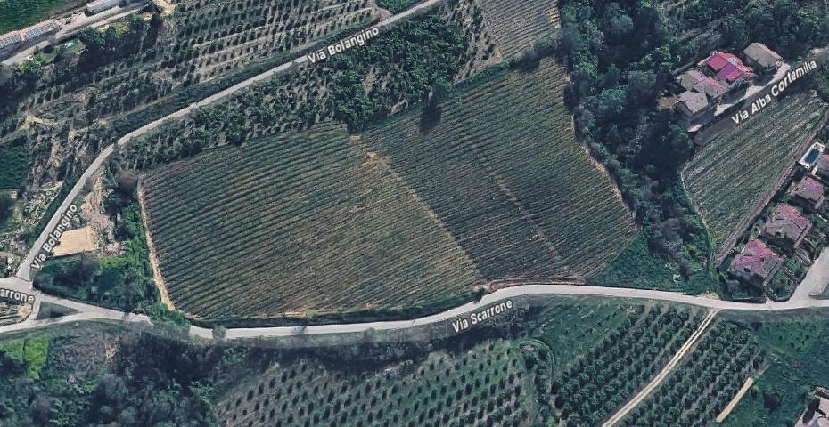 Agricultural land Diano d'Alba - photo 1