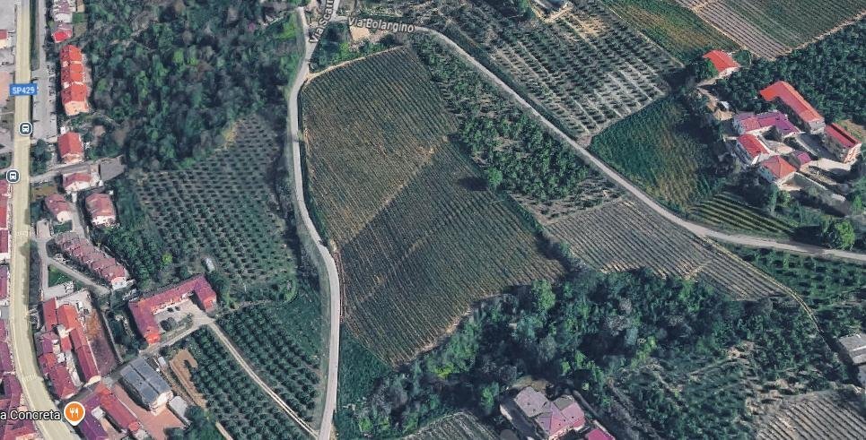 Agricultural land Diano d'Alba - photo 2