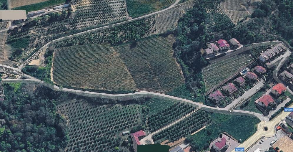 Terreno agricolo Diano d'Alba - foto 3