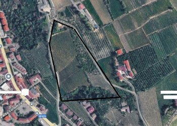 Agricultural land Diano d'Alba - photo 4