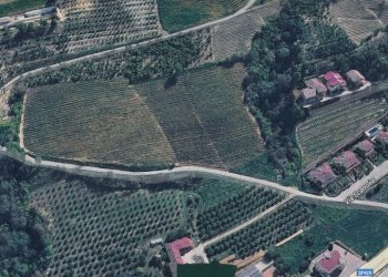 Agricultural land Diano d'Alba - photo 5