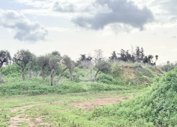 Villa Marsala - foto 6