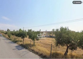 Villa Marsala - foto 13