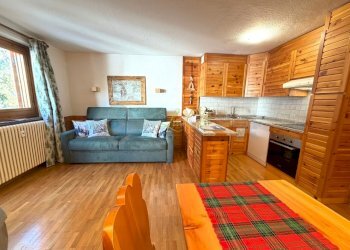 AFFITTO VERRAND - SPGGIORNO CON CUCINA E ZONA PRAN - Bilocale Route de Verrand 10, Prè-Saint-Didier - foto 16