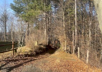 rif 1834 foto new (8).jpeg - Villa Urbe - foto 10