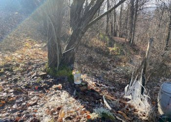 rif 1834 foto new (7).jpeg - Villa Urbe - foto 16