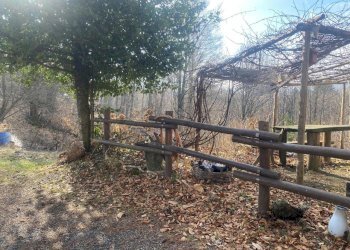 rif 1834 foto new (12).jpeg - Villa Urbe - foto 18