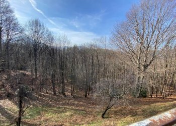 rif 1834 foto new (19).jpeg - Villa Urbe - foto 19