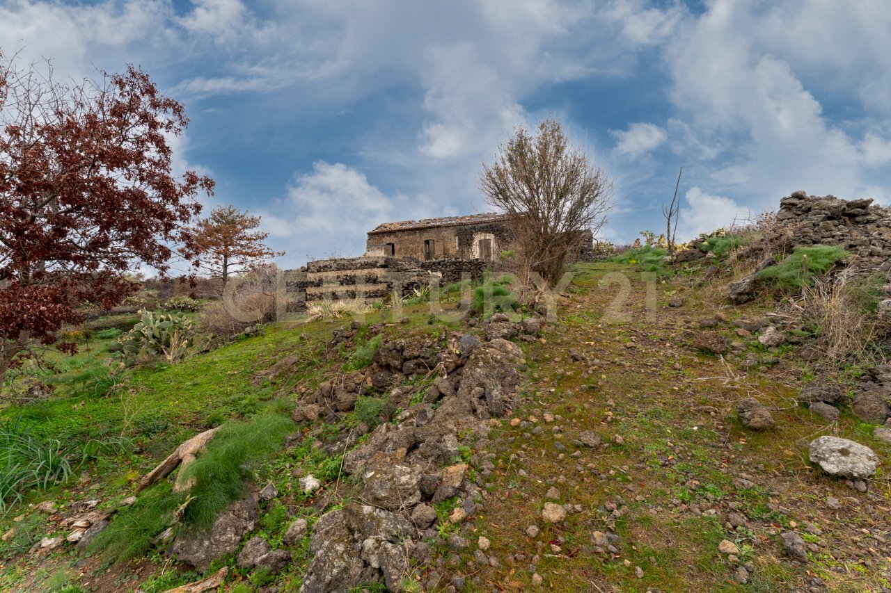Terreno Belpasso (27).jpg - Agricultural land Via Santa Maria di Licodia, Belpasso - photo 1